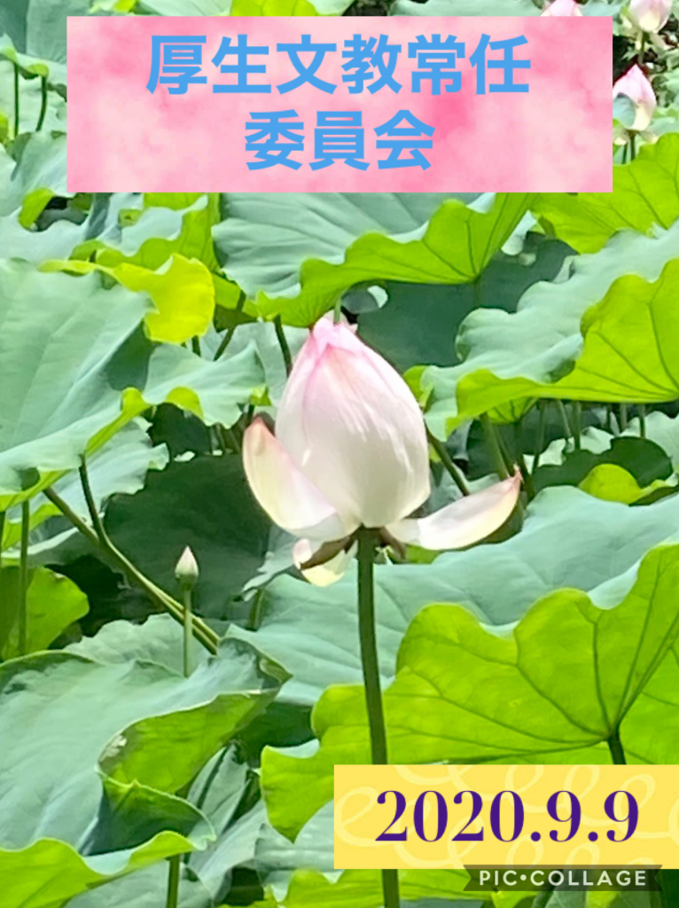 令和2年第5回定例会